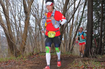 hase30k2015_1131