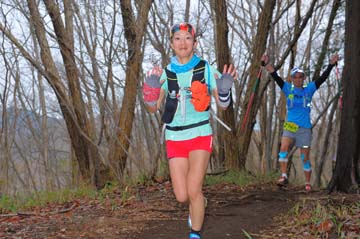 hase30k2015_1133