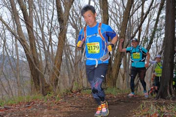 hase30k2015_1144