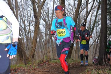 hase30k2015_1147