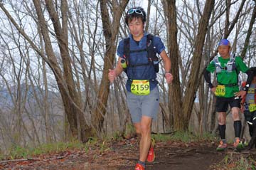 hase30k2015_1149