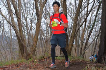 hase30k2015_1157