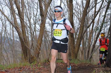 hase30k2015_1160