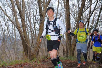 hase30k2015_1162