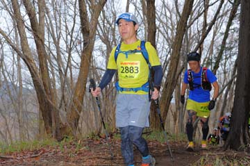 hase30k2015_1163