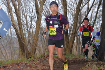 hase30k2015_1171