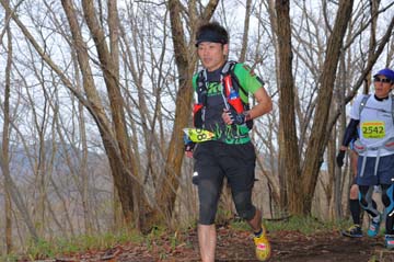 hase30k2015_1173