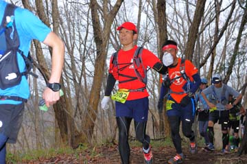 hase30k2015_1175