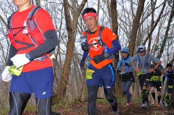 hase30k2015_1176