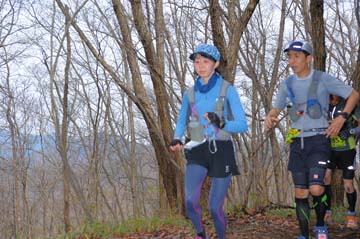 hase30k2015_1177