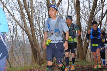 hase30k2015_1178