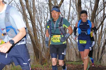 hase30k2015_1179