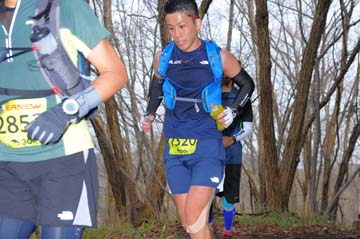 hase30k2015_1180