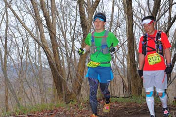 hase30k2015_1181