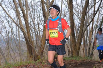 hase30k2015_1183