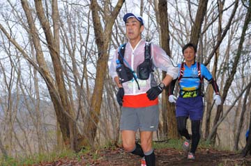 hase30k2015_1189