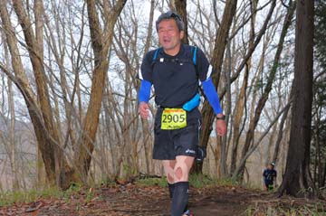 hase30k2015_1199