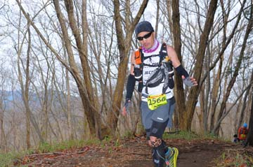 hase30k2015_1238