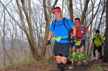 hase30k2015_1262