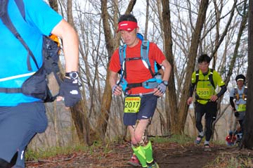 hase30k2015_1263