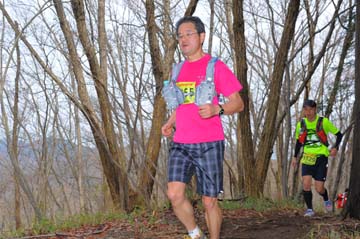 hase30k2015_1271