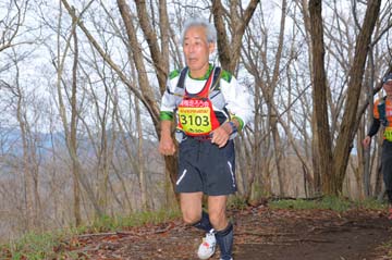 hase30k2015_1278