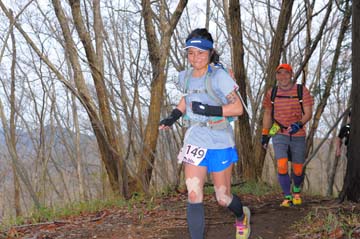 hase30k2015_1284