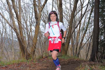 hase30k2015_1293