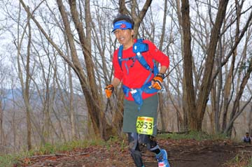 hase30k2015_1300