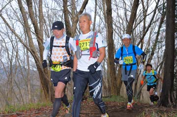 hase30k2015_1301