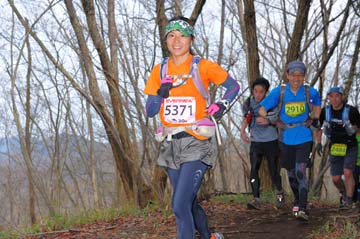 hase30k2015_1311