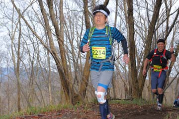 hase30k2015_1321