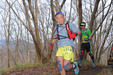 hase30k2015_1329