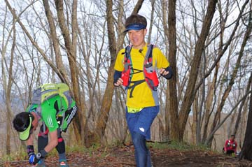 hase30k2015_1334