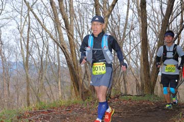 hase30k2015_1336