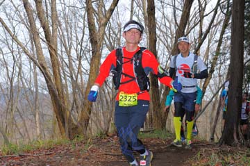 hase30k2015_1338