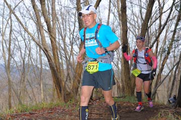 hase30k2015_1341