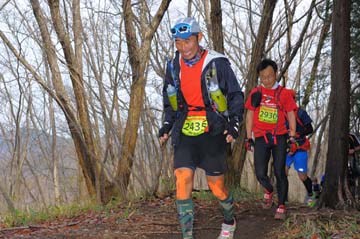hase30k2015_1347