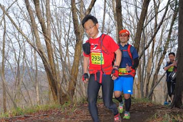 hase30k2015_1348