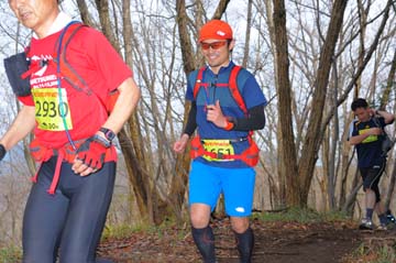 hase30k2015_1349