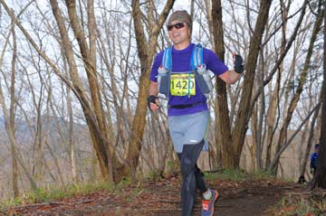 hase30k2015_1353