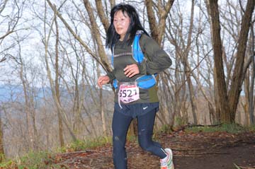 hase30k2015_1358