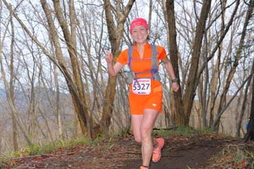 hase30k2015_1363