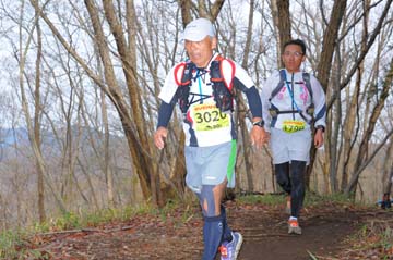 hase30k2015_1373