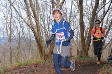 hase30k2015_1375