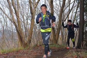 hase30k2015_1384