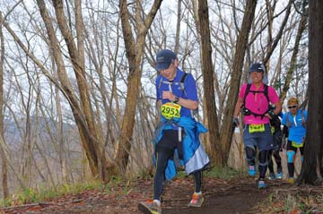 hase30k2015_1390