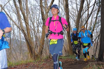 hase30k2015_1391