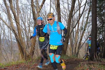 hase30k2015_1393