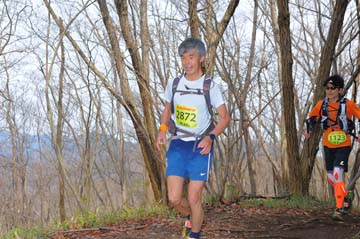 hase30k2015_1404